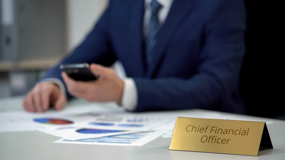 CFO delivering high-level financial strategy and governance