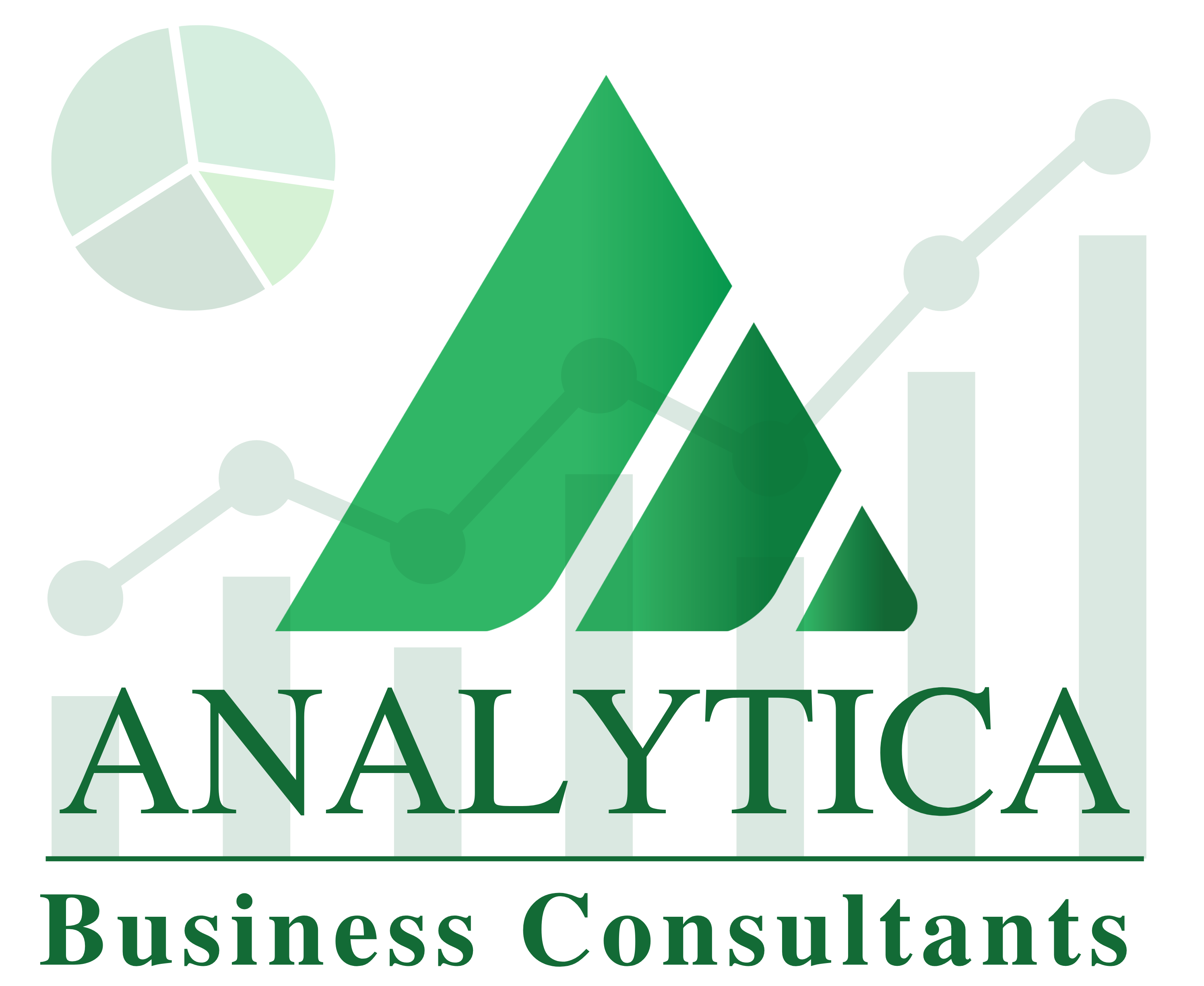 Business Process Management BPM Analytica Consultants business-process-management-bpm-analytica-consultants